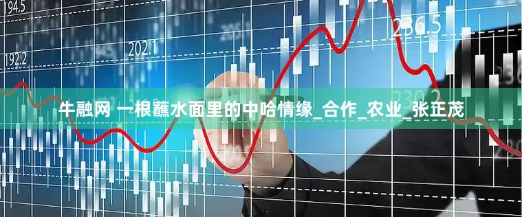 牛融网 一根蘸水面里的中哈情缘_合作_农业_张正茂