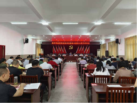 长宏策略 怀宁县高河镇：聚焦“选苗育苗护苗”建强村级后备干部队伍_大皖新闻 | 安徽网